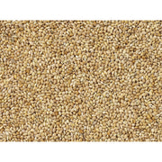 V5HCBE9F43D016E5690E7D319280DD85F0BR7450058P3