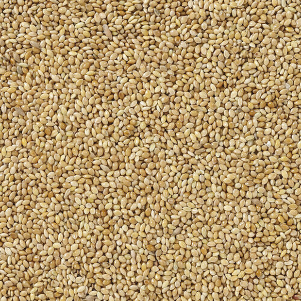 V5H2BF9156AA9C1E9E7F0FA712C40339509R7450059P4