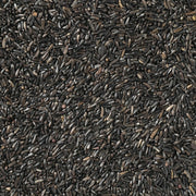 V6HCB44A142596BEE22F875BA0F07F4B44AR7450033P4