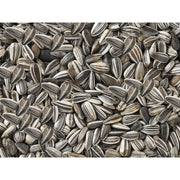 V6HB377F1DC965A6590509CBC373F7E15C7R7450078P3