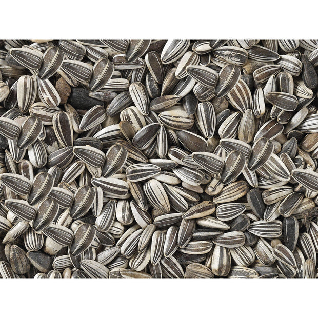 V6HB377F1DC965A6590509CBC373F7E15C7R7450078P3