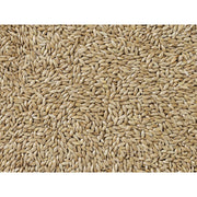 V4HC94A4E8AE24E85E3315BA7C7B66497D8R7450072P3