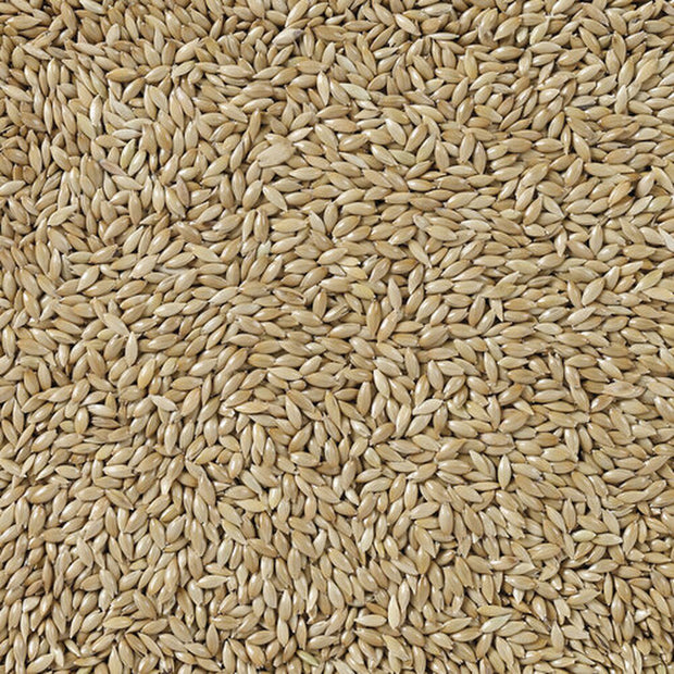 V4HEBE085DAFBADBCCF15D37C5BB3D27C73R7450073P4