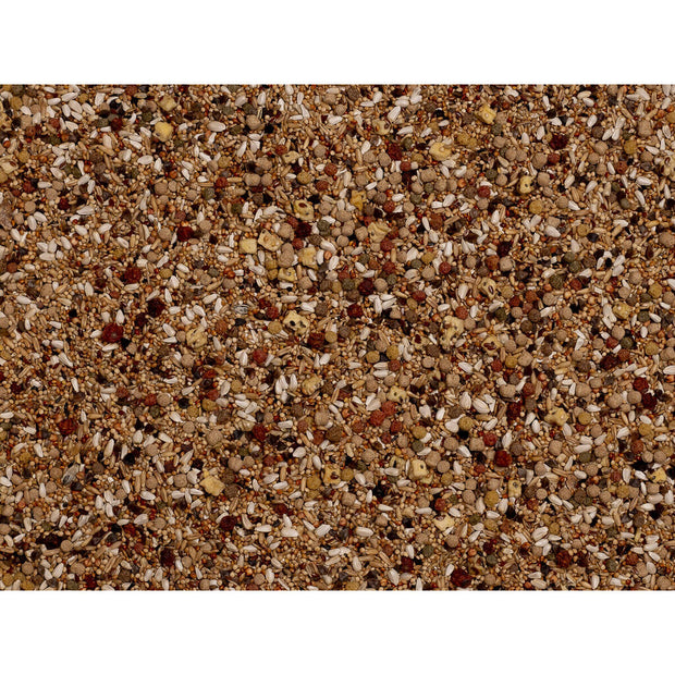 V5H1CC95846A2A6EDEC42D36761B91592C8R7450557P3