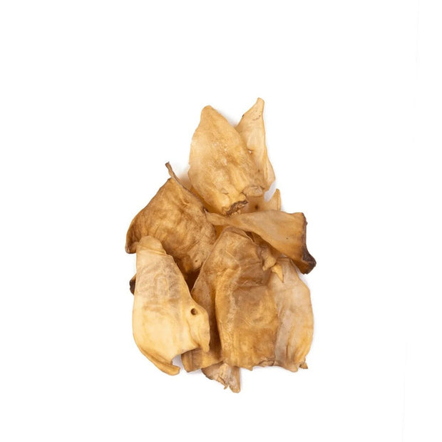 V3H3F08D3C064AD43E3AE0B3BC57E938F93R5623763P2