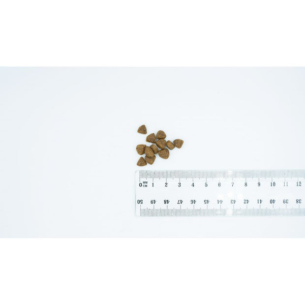 V3H5FE12708EEB7DA6831E4F76DFFA074B2R6200873P2