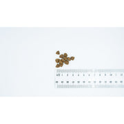 V3H05387CF593CA3A0FB79DDBFD795B5E53R6200903P2