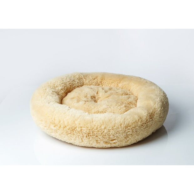 V6H46C12686F62D40DBB441B60E77C05649R6426227P2