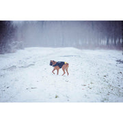 V5H4022C0BBEF08A5F2EFD3802D81FC5343R7445350P2