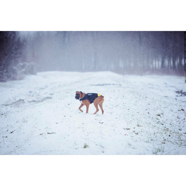 V5H4022C0BBEF08A5F2EFD3802D81FC5343R7445350P2