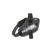 V7H4FA53D96BC0E519F7AE941BF03362506R7451171P8