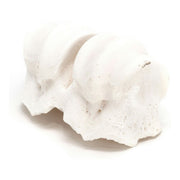 V9HED0B4C38EE8532FA23B93A47B1DCA0BER3891368P2