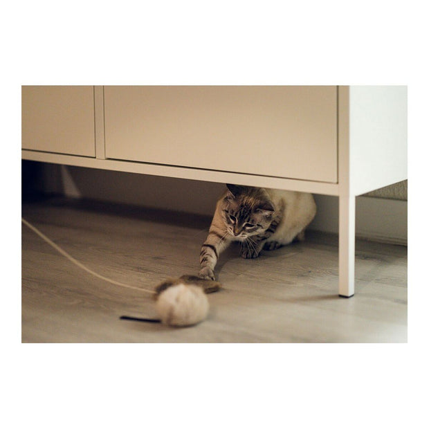 V10H116D63D9AB48F09DCFB032DED6C63E44R5597786P6