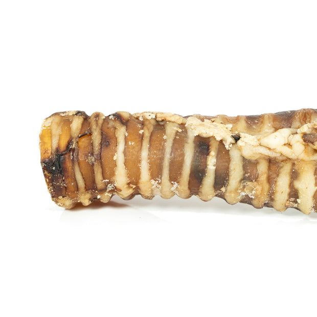 V4HE8FB61C03B25AE2B7AF6A77B0D2455E0R4975263P4