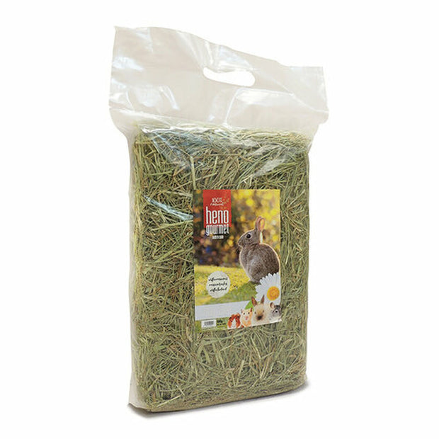 V4H53A6A81E9A4DAD56674DC91D3375F26BR7445422P2