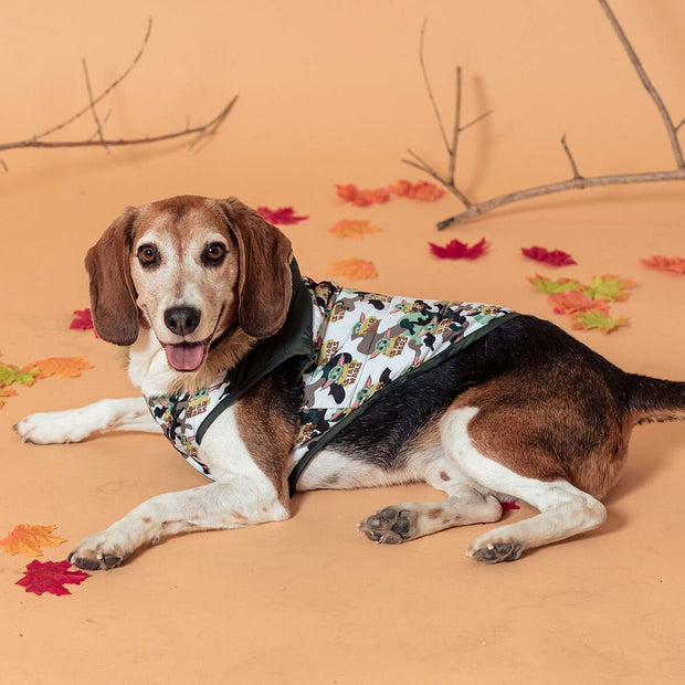 V4HB246DAF02C2A603E85A7824C697FA463R5075915P5