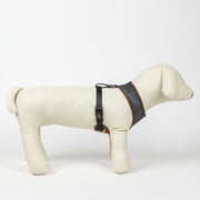 V3H47119BBC5C29E8CE3943CFF22A2282CCR5150366P6