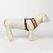 V3H804A3A4A9EC0FC404CEDD28B4214BBCDR5150354P9