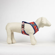 V5HF5730B7E6B02A8AE5C8445BF41A302FDR6606932P4