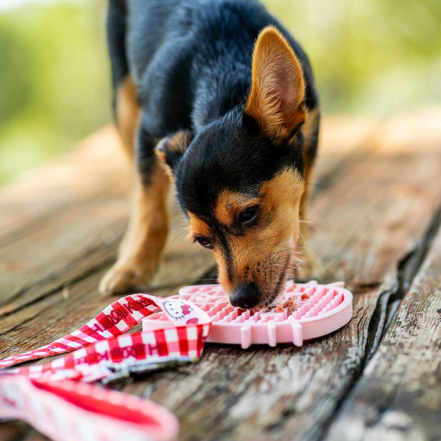 V2H2E43A561C1C9F719C75448731255C723R7055522P3