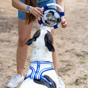 V3H16F58D1EB96EB442811E574DCE699B34R6453395P3