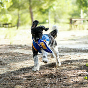 V2HDCF38C1D65592D9A0CC25902AC4F3C51R7021567P2