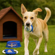 V2HB76375FE3171351623D1321E5B729C77R7026801P8