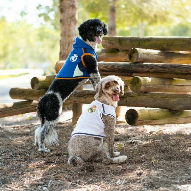 V3H1DB4F488197F656C93595B58D46D50E4R6445843P4