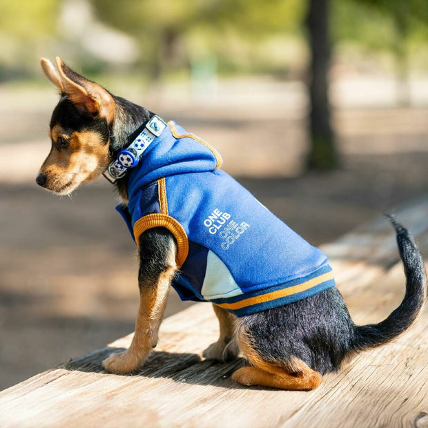 V3H263B7C53EC168304D9D09F7A4BB9984DR6446435P5