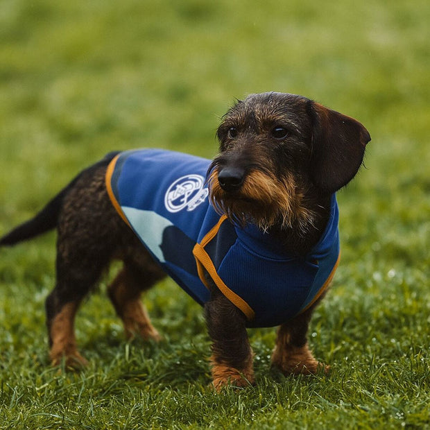 V3H1C631F12E843F346C41317D25F802D9CR6446452P9