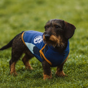 V3HB7BF592EE21F4A062CE59919E59C6E8FR6351887P9