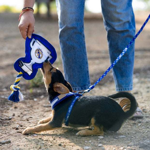 V3H85B3CECC6A415FD45F8B9CD851A6CB83R6293079P2