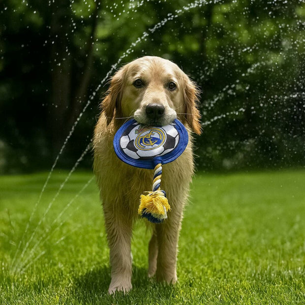 V2H3D62C2F69E3F3BDAA53F703AFDCC6427R6939410P9