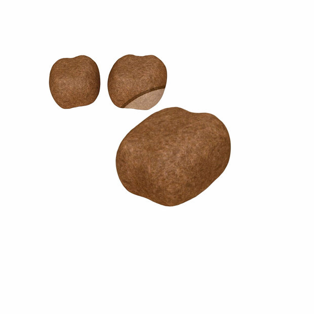 V7HC9996050043966CEF22A9C8D4BFDDE2BR3587246P2