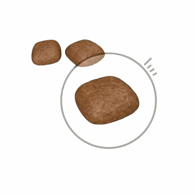 V7HA69C7B3E29F2FC6B10C17EA00BAF0A12R3587252P3