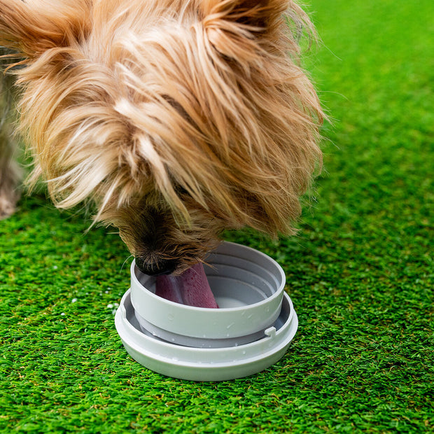 V6H428DC5DAEF0E7D718BCA4C197362E1AER5279949P7